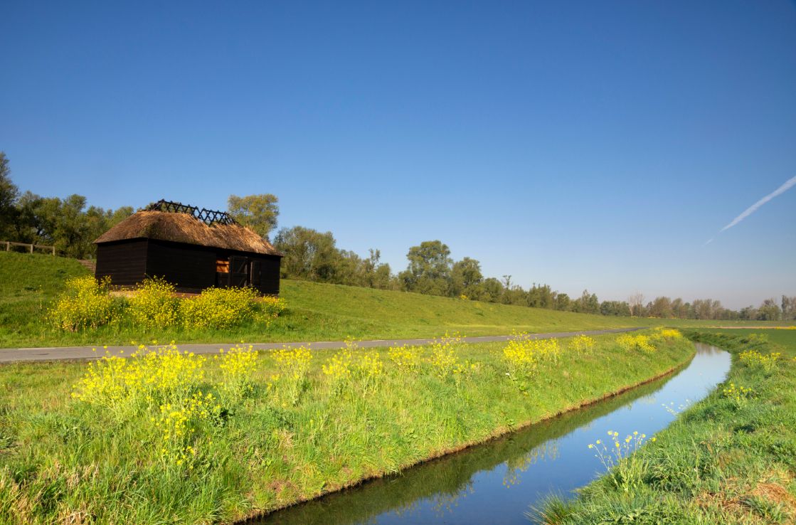 nationaal park de biesbosch